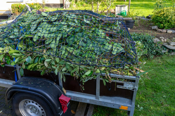 Best Moving and Downsizing Cleanouts  in Crystal Lake, CT